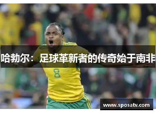 哈勃尔：足球革新者的传奇始于南非